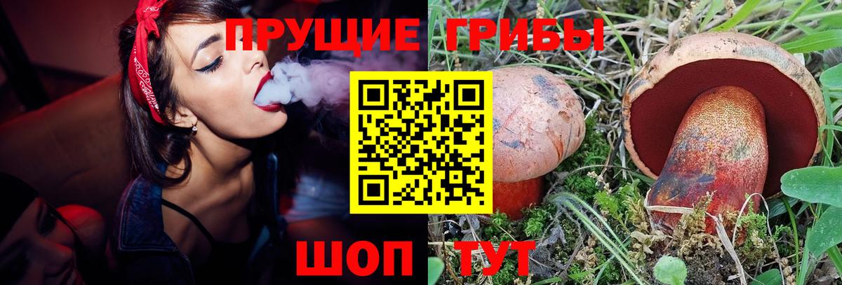 Галлюциногенные грибы ЛСД  Вход с VPN  Псилоцибиновые грибы прущие грибы  Лысьва 